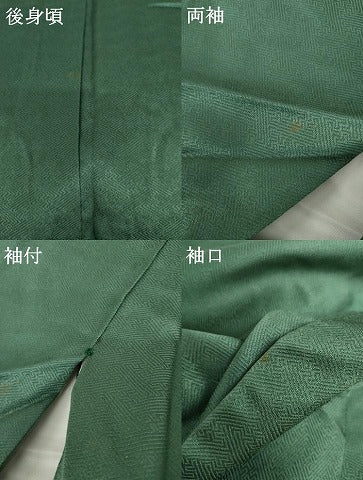 平和屋着物●訪問着　立波枝葉文　金彩　正絹　逸品　AABG5387cs
