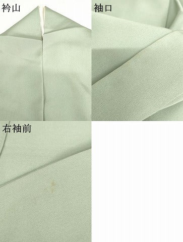 平和屋着物●豪華色留袖　友禅　浜松人物風景文　金彩　正絹　逸品　AABG5432cs