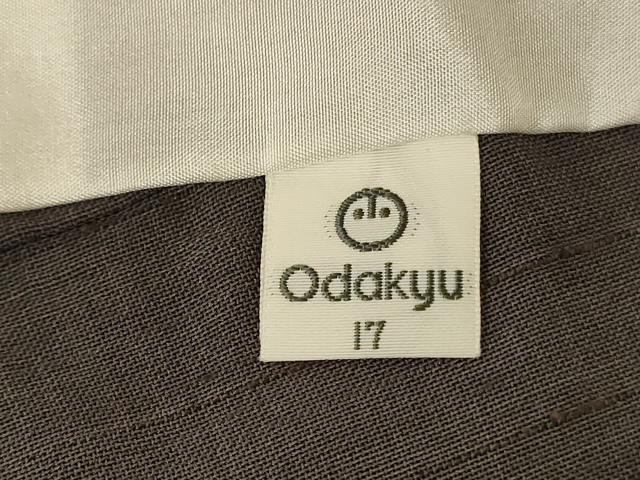 平和屋着物＊夏物 日本のお笑いタレント 俳優 画家 書家 片岡鶴太郎 訪問着 紗 蜻蛉 小田急百貨店扱い 正絹 逸品 AABG5449jd