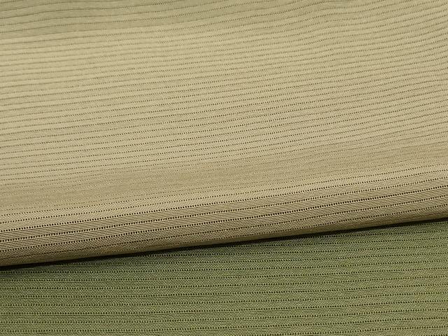 平和屋着物＊夏物 訪問着 絽 霞文 暈し染め 正絹 逸品 AABG5471jd