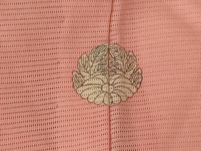 平和屋着物＊夏物　訪問着　絽　舞蝶文　正絹　逸品　AABG5487jd