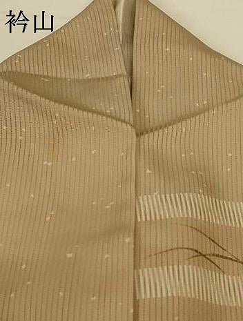 平和屋着物＊夏物 訪問着 縦絽 刺繍 流水草花文 蜻蛉 金彩 正絹 逸品 AABG5492jd
