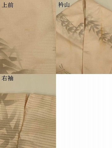 平和屋着物＊夏物 小紋 絽 笹文 蜻蛉 正絹 逸品 AABG5507jd