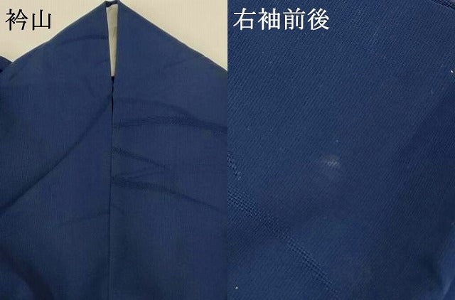 平和屋着物＊夏物 色無地 捩り織 芝紋紗 濃藍色 正絹 逸品 AABG5510jd