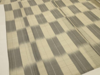 平和屋着物＊夏物 明石ちぢみ 変わり市松文様 正絹 逸品 AABG5544jd