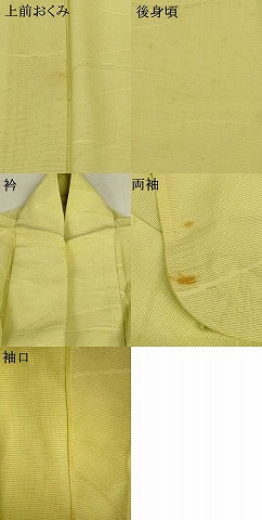 平和屋着物＊夏物 色無地 絽 芝紋紗 女郎花色 正絹 逸品 AABG5558jd