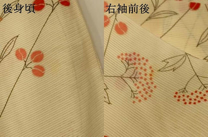 平和屋着物＊夏物 小紋 絽 萩文 正絹 逸品 未使用 AABG5569jd