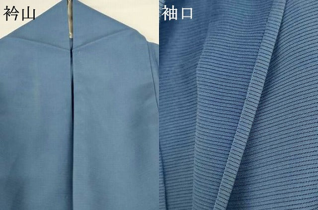 平和屋着物＊夏物 訪問着 絽 草花文 正絹 逸品 AABG5578jd