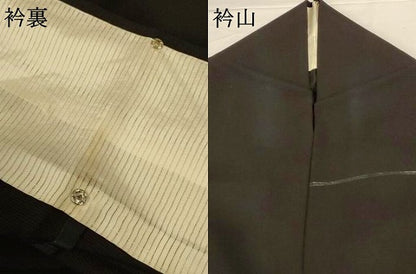 平和屋着物＊夏物 訪問着 絽 花蝶文 正絹 逸品 AABG5593jd