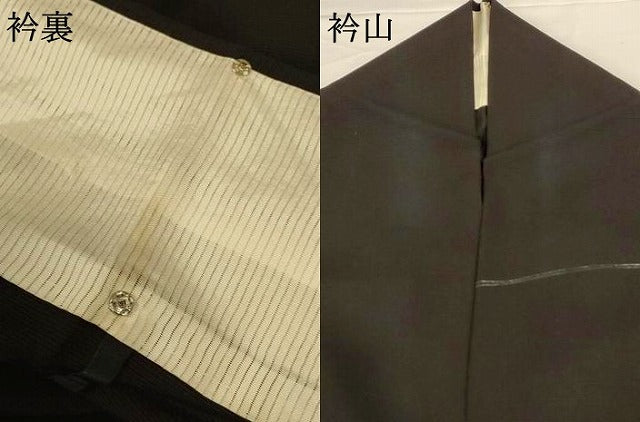 平和屋着物＊夏物 訪問着 絽 花蝶文 正絹 逸品 AABG5593jd