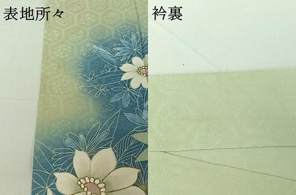 平和屋着物▽訪問着　単衣　草花文　暈し染め　正絹　逸品　AABG5604jh