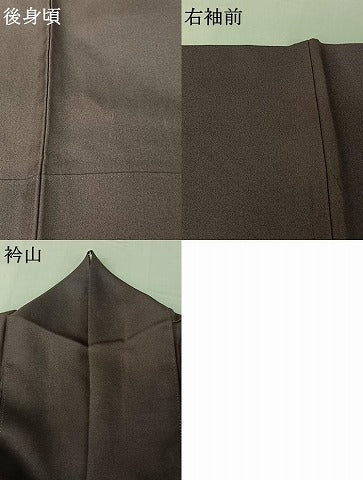 平和屋着物▽訪問着 単衣 草花文 金銀彩 正絹 逸品 AABG5716jh