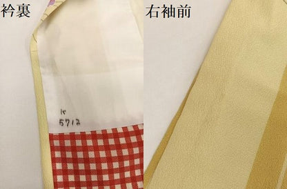 平和屋着物●小振袖　二尺袖　桜間道　洗える着物　AABG5741ph
