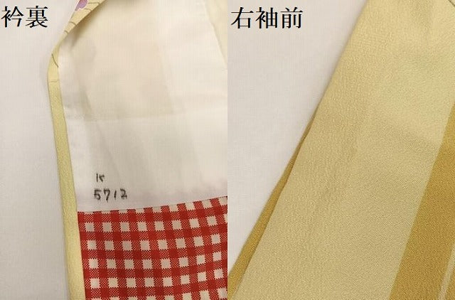平和屋着物●小振袖　二尺袖　桜間道　洗える着物　AABG5741ph