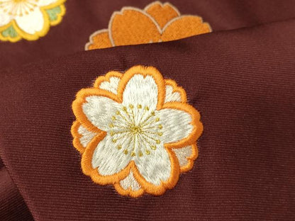 平和屋着物●女性　行灯袴　総刺繍　霞桜文　暈し染め　金糸　洗える着物　AABG5921fw