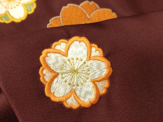 平和屋着物●女性　行灯袴　総刺繍　霞桜文　暈し染め　金糸　洗える着物　AABG5921fw
