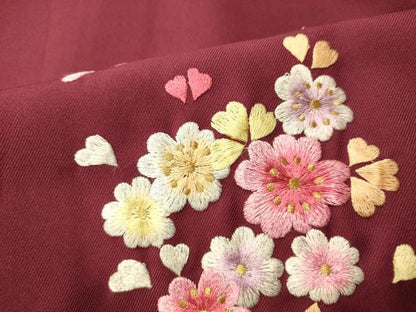 平和屋着物●女性　行灯袴　総刺繍　舞花文　金銀糸　洗える着物　AABG5923fw