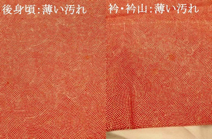 平和屋着物■江戸小紋　鮫小紋柄　正絹　逸品　AABG5941fw