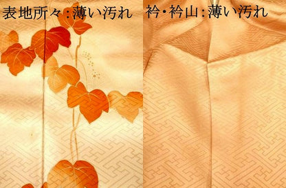 平和屋着物■訪問着　葡萄の蔓文　暈し染め　正絹　逸品　AABG5968fw