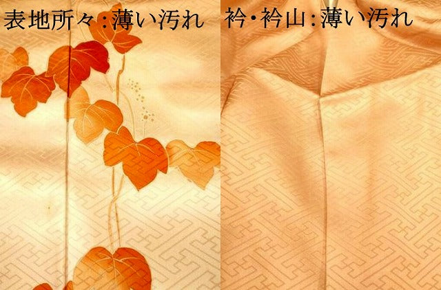 平和屋着物■訪問着　葡萄の蔓文　暈し染め　正絹　逸品　AABG5968fw