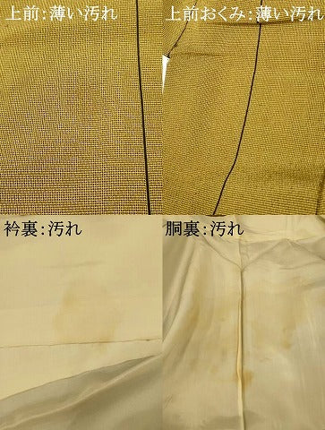 平和屋着物■お召 間道 正絹 逸品 AABG5969fw