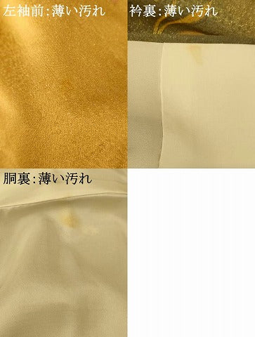 平和屋着物■訪問着　寿光織　枝葉文　暈し染め　金彩　正絹　逸品　AABG5978fw
