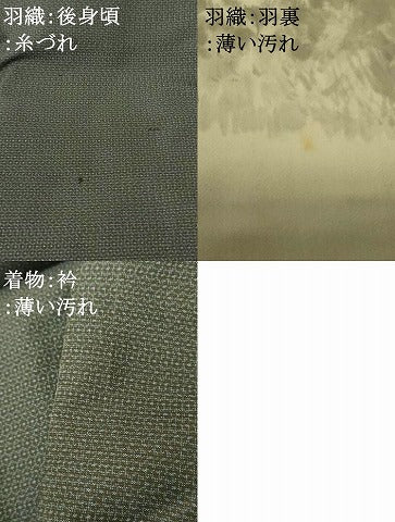 平和屋着物■男性 本場大島紬 アンサンブル 60亀甲 総詰め 伊勢丹扱い 正絹 逸品 AABG6002fw