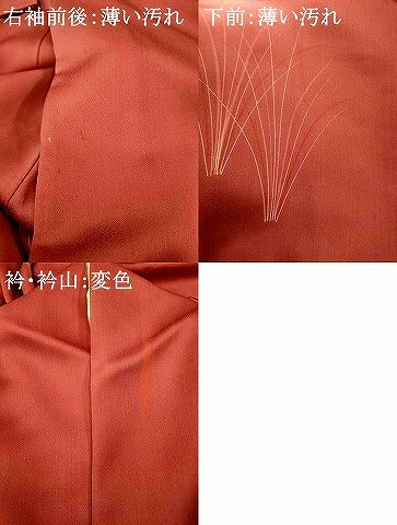 平和屋着物■訪問着 草葉流水文 暈し染め 正絹 逸品 AABG6019fw
