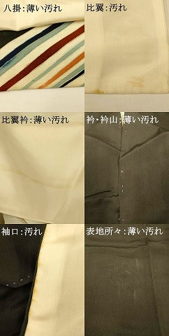 平和屋着物■豪華黒留袖 駒刺繍 草花流水文 金彩 正絹 逸品 AABG6038fw