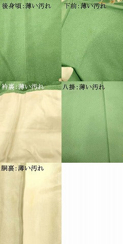 平和屋着物■訪問着 刺繍 草花芝文 暈し染め 金彩 正絹 逸品 未使用 AABG6055fw
