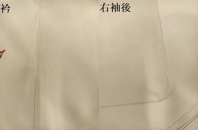 平和屋着物●訪問着　紅型　群れ鳥　正絹　逸品　未使用　AABG6521ph