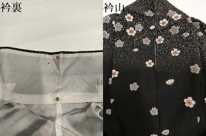 平和屋着物●訪問着　夜桜舞蝶文　黒地　正絹　逸品　AABG6523ph