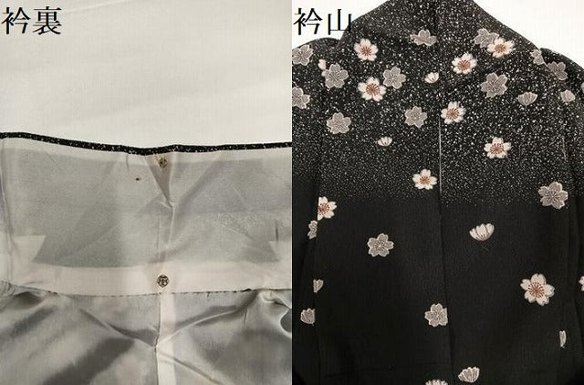 平和屋着物●訪問着　夜桜舞蝶文　黒地　正絹　逸品　AABG6523ph
