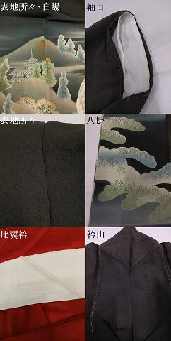 平和屋着物●アンティーク　大正ロマン　黒留袖　刺繍　群鶴風景松文　暈し染め　正絹　逸品　AABG6553ph