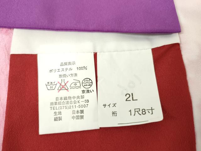 平和屋着物●カリスマ読者モデル　JAM(ジャム)　小振袖　二尺袖　薔薇　洗える着物　AABG6623cs