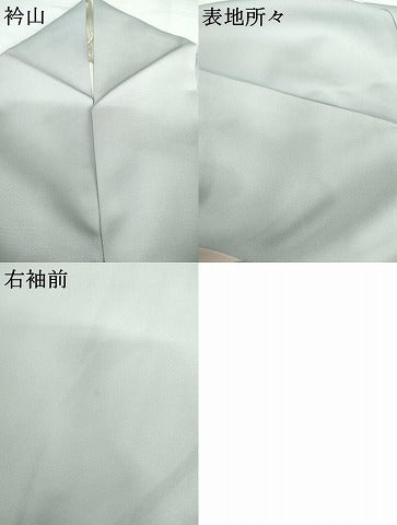 平和屋着物●訪問着　作家物　枝花文　暈し染め　正絹　逸品　AABG6649cs