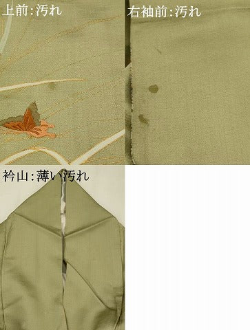 平和屋着物■訪問着　刺繍　花蝶文　暈し染め　金彩　正絹　逸品　AABG6738st