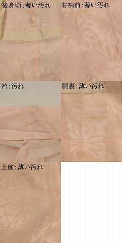平和屋着物■長襦袢　無双仕立て　花地紋　正絹　逸品　AABG6750st