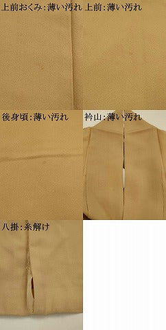 平和屋着物■上質な色無地　紋意匠　伽羅色　正絹　逸品　AABG6764st
