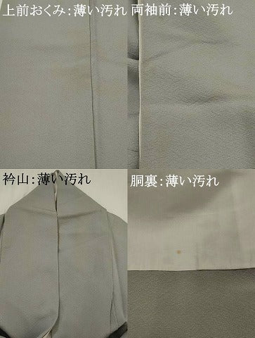 平和屋着物■上質な色無地　紋意匠　薄鈍色　正絹　逸品　AABG6770st