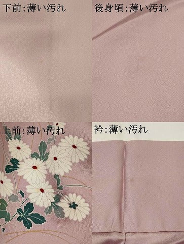平和屋着物■訪問着 流水草花文 暈し染め 金彩 正絹 逸品 AABG6876st