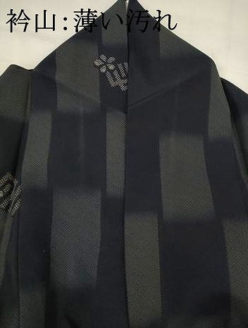平和屋着物□小紋 源氏香 洗える着物 AABG6889st
