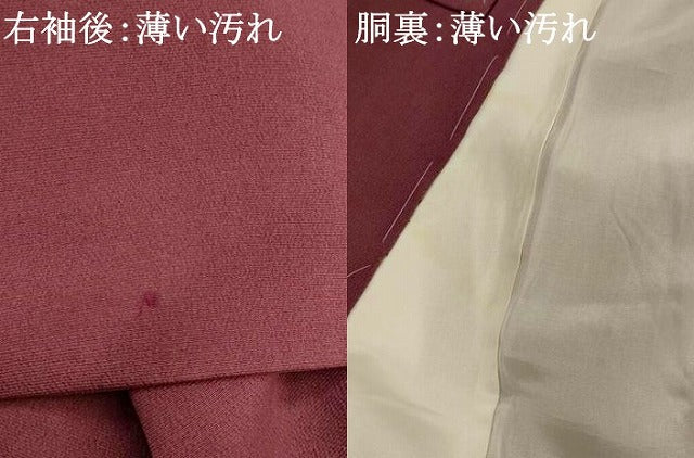 平和屋着物■訪問着 枝葉文 正絹 逸品 AABG6895st