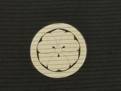 平和屋着物▽男性 スリーシーズン 春夏秋 塵除け 黒紋付 単衣 正絹 逸品 AABG6981ck