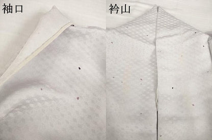 平和屋着物▽上質な小紋 単衣 京友禅 銀河の夜明け 丹後ちりめん 反端付き 正絹 逸品 AABG6991ck