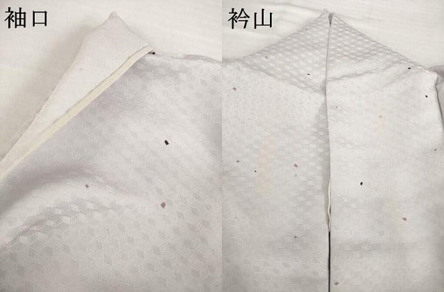 平和屋着物▽上質な小紋 単衣 京友禅 銀河の夜明け 丹後ちりめん 反端付き 正絹 逸品 AABG6991ck