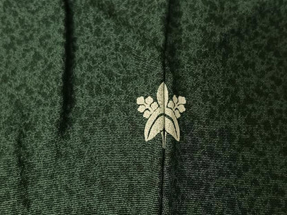 平和屋着物▽訪問着 単衣 流水杜若文 金彩 正絹 逸品 AABG7051jh