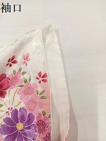 平和屋着物●小振袖　二尺袖　舞花文　暈し染め　金彩　洗える着物　AABG7083ph