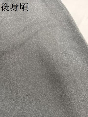 平和屋着物●訪問着　流水枝花文　暈し染め　金銀彩　正絹　逸品　AABG7101ph
