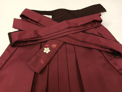 平和屋着物●女性　行灯袴　刺繍　矢羽根花文　暈し染め　金糸　洗える着物　AABG7111ph
